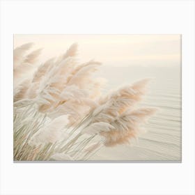 Pampas Grass In The Evening Canvas Print