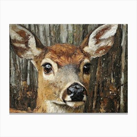 Deer In The Woods 4 Canvas Print