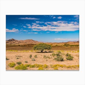 Desert In Oman Canvas Print