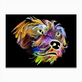 Rainbow Dog Canvas Print