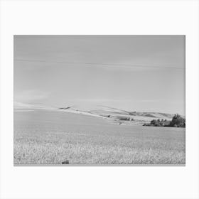 Farmstead And Wheat Land, Walla Walla County, Washington By Russell Lee Canvas Print