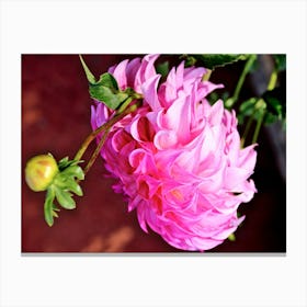 Pink Flower 1 Canvas Print