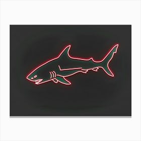Neon Zebra Shark 4 Canvas Print