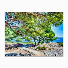 Coastal Path Through Trees in Cassis Provence France. A winding dirt path leads through a grove of lush green trees, their branches reaching out towards a clear blue sea in the distance. The path is bordered by rocks and sparse vegetation, creating a natural and rustic feel. The sunlight filters through the leaves, casting dappled shadows on the ground. Canvas Print