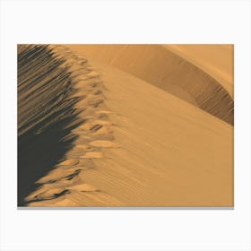 Footsteps In The Sahara Canvas Print