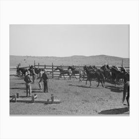 Cowboys Roping And Saddling Horses, Corral At Ranch Near Marfa, Texas By Russell Lee Canvas Print