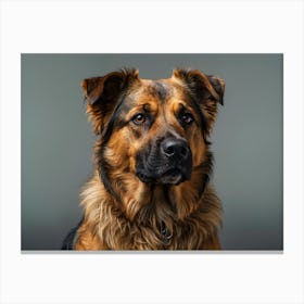 Portrait Of German Shepherd Dog Canvas Print