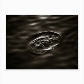 Dark Water Canvas Print