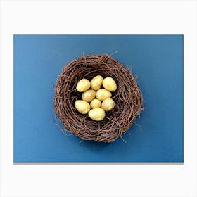 Easter Eggs In A Nest 5 Canvas Print