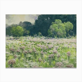 Field Of Wildflowers Canvas Print