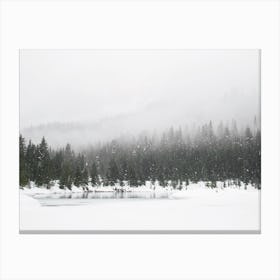 Foggy Snow Forest Canvas Print