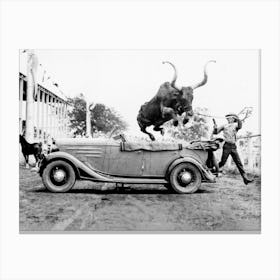 Bull Jumping Over Car, Western Aesthetic, Vintage Black and White Old Photo Canvas Print