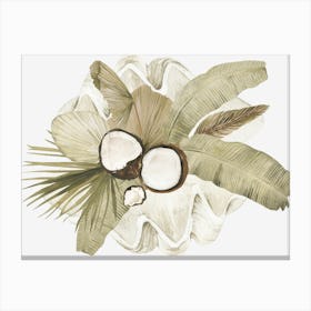 Coconuts And Leaves Canvas Print