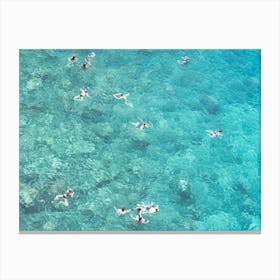 People Swimming In Blue Clear Water Canvas Print
