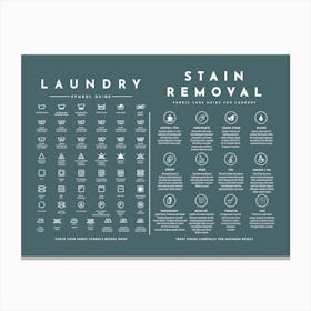 Laundry Guide With Stain Removal Mystic Forest Canvas Print