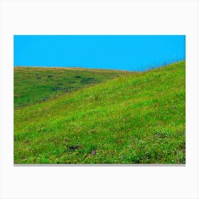 Grassy Hill 20190814 55 1ppub Canvas Print