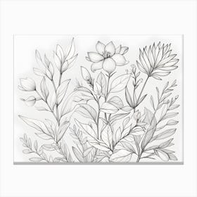 Floral Drawing Canvas Print