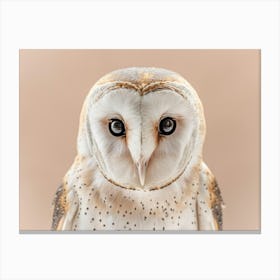 Barn Owl 12 Canvas Print