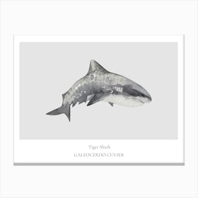 Tigershark Canvas Print