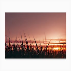 Sunset Over Grass Canvas Print