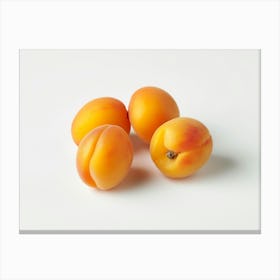 Apricots Canvas Print