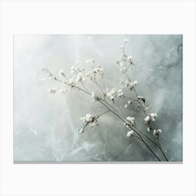 White Flowers On A White Background Canvas Print