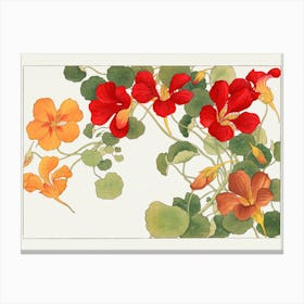 Nasturtiums Canvas Print