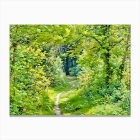 Enchanted Forest Path. A serene forest path surrounded by lush greenery, winding through tall trees and dense foliage, evoking a sense of peace and natural wonder. 1 Canvas Print