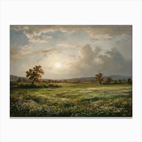 Sunset In The Meadow 1 Canvas Print