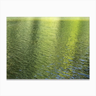 Golden-green reflection at the lake Canvas Print