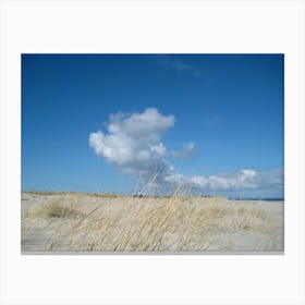 Cloud over the Beach Canvas Print