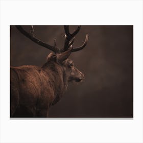 Rustic Elk Profile Canvas Print