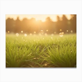 Close Up Photography Of Green Grass With Soap Bubbles Floating In The Background, Creating A Dreamy And Whimsical Scene 1 Canvas Print