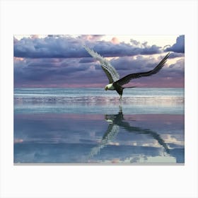 Eagle In Flight Canvas Print