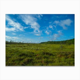 Grassland With Blue Sky Canvas Print