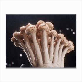 Mushrooms 1 Canvas Print