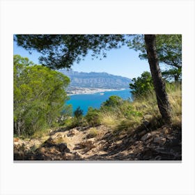 Trees and mountains on the Mediterranean coast Canvas Print