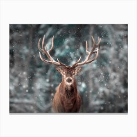 Stag In The Snow Canvas Print