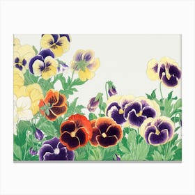 Pansies 1 Canvas Print