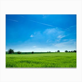 Green Field With Blue Sky Canvas Print