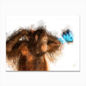Orangutan And Butterfly Canvas Print