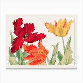 Parrot Tulip, Japanese Woodblock Canvas Print