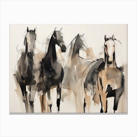 Vintage Horse Sketch Canvas Print