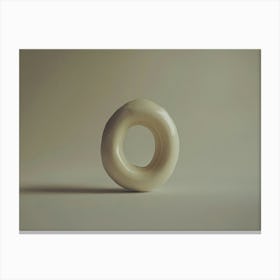 O The Donut of Life Canvas Print