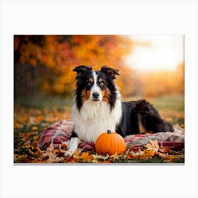 Autumnal Backdrop Transitioning Into Winter An American Border Collie Sits On A Bed Of Fallen Leave (3) Canvas Print