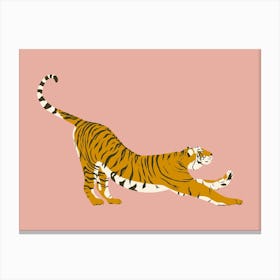 Tiger Stretching - Pink Canvas Print