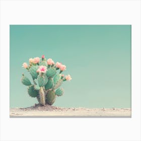 California Dreaming - Cactus Flowers Canvas Print