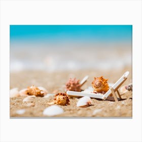 Sea Shells On The Beach Canvas Print