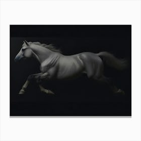 Horse Galloping Canvas Print