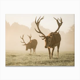 Deer In Morning Fog Canvas Print